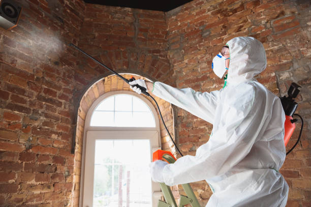 Mold Remediation for Rental Properties in Saukville, WI